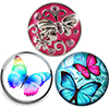 SnapAccents Butterfly snap jewelry